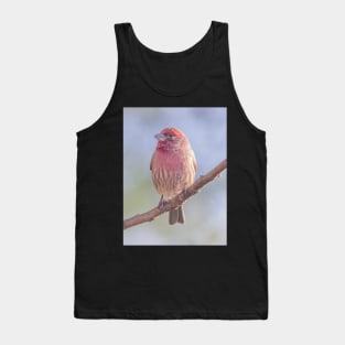 House Finch on blue/green blurred background Tank Top